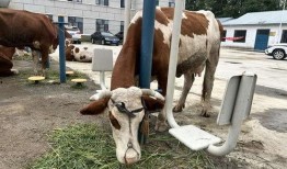 牛不拉最新爆料,娱乐圈最新爆料大起底！